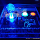 Illustration for article titled Edu-Mach: Fabricando un joystick para Commodore Amiga